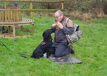 Birmingham dog trainers Dogs Behaving Gladly image 1