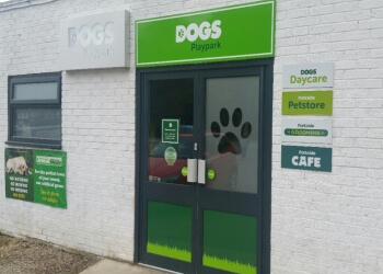 3 Best Dog Trainers in Kingston Upon Hull, UK - Expert Recommendations