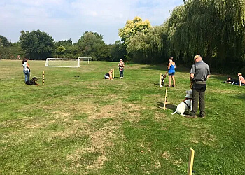 Dogworthy Dog Training