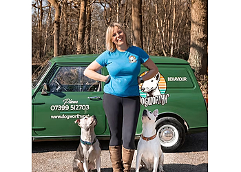 Dogworthy Dog Training