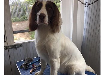 Dolly & Scruffy’s Dog Grooming Studio