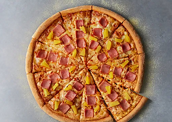 Domino's Pizza North Somerset