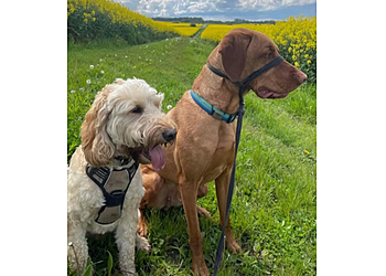 Dominy's Dog Boarding