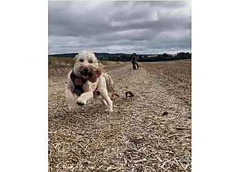 Dominy's Dog Boarding