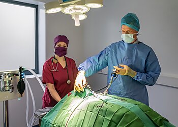 Donaldson’s Vets Limited