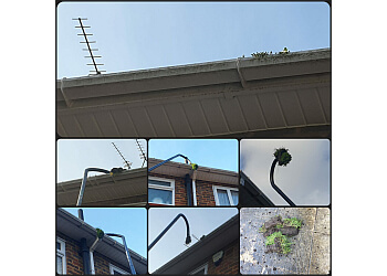 Dower Does... Window & Gutter Cleaning 
