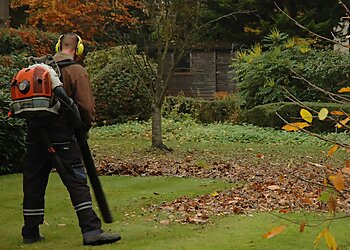 Down 2 Earth Garden Services & Maintenance