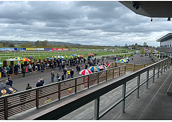Down Royal Racecourse