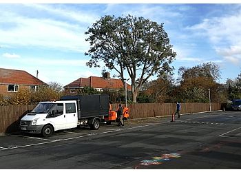 Down to Earth Tree Services