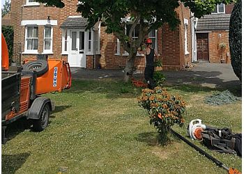 Down to Earth Tree Services