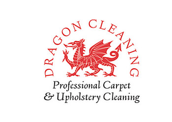 Dragon Cleaning Services