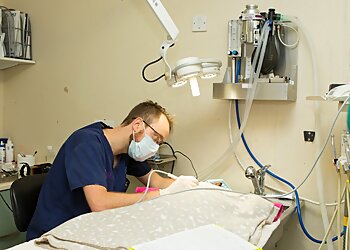 Drove Veterinary Hospital