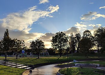 Duchess of Hamilton Park