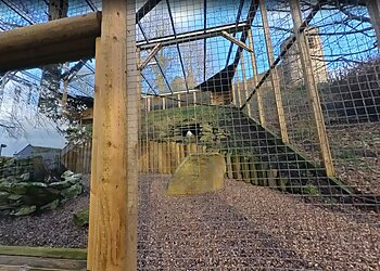 Dudley Zoo and Castle