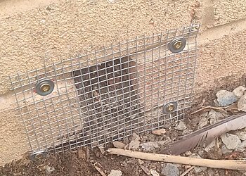 Dunn & Dusted Pest Control Ltd