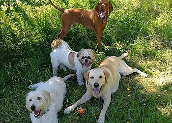 Durham Dog & Pet Services