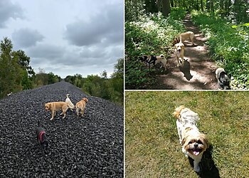 Durham Dog & Pet Services