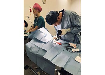 E C Straiton and Partners Ltd