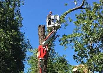 EJM Tree Services Ltd.