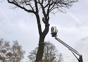 EJM Tree Services Ltd.