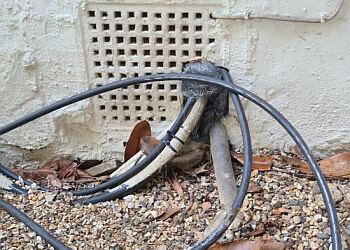 E.R.D Pest Control Services