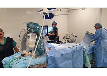 Earlswood Veterinary