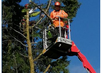 Earth Tree Services