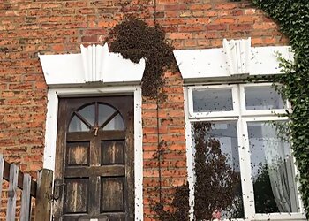 East Lincs Pest Control