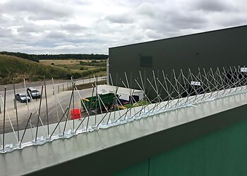 East Riding Pest Management