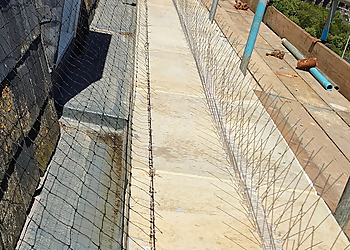 Ebbsfleet Pest Control