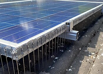 Eco Pest Control Ltd