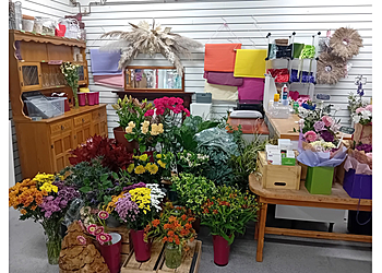 Eco blooms North Wales