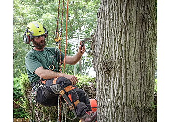 Eden Tree Specialists Ltd