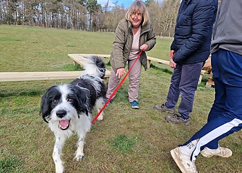 Edinburgh Holistic Dogs