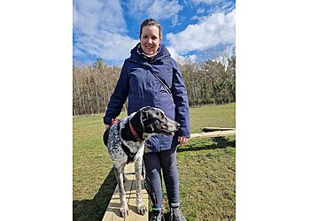 Edinburgh Holistic Dogs