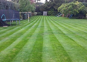 Ed's Garden Services