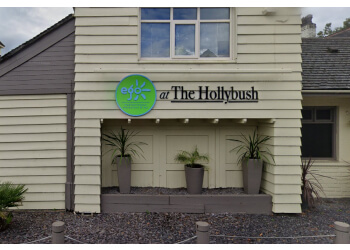 Ego at The Hollybush