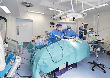 Elena Prousskaia, MD, FRCS(PLAST), FEBOPRAS