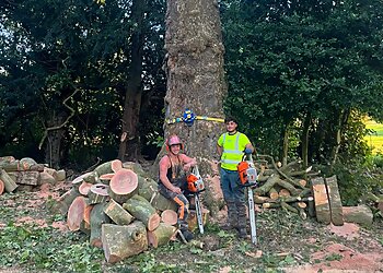 Elmwood Tree Services