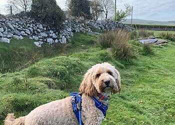 Elna Dog Boarding Kennels