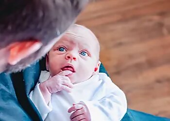 Emma Solomon Photography