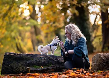 Emma's Dog Behaviour and Training