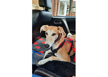 Emma's Dog Behaviour and Training