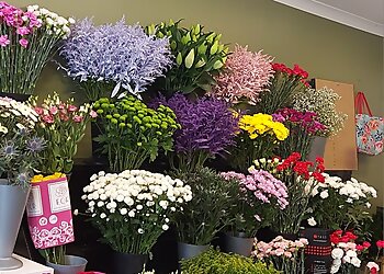 Enchanted Flowers Paisley