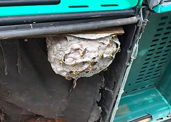 Environmental Pest Services