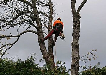Epic Tree Care