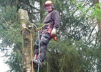 Erskine Tree Surgeons Ltd