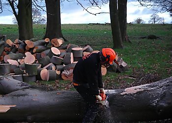 Erskine Tree Surgeons Ltd