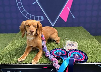 Essential Canine Life Skills Ltd