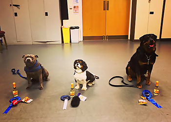 Essential Canine Life Skills Ltd